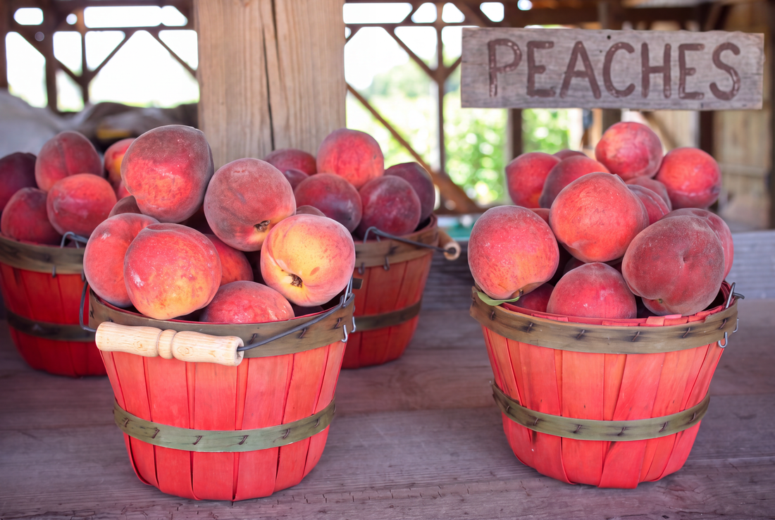 Summer in the Hill Country: When to Go, What to Skip - Opa's Smoked Meats