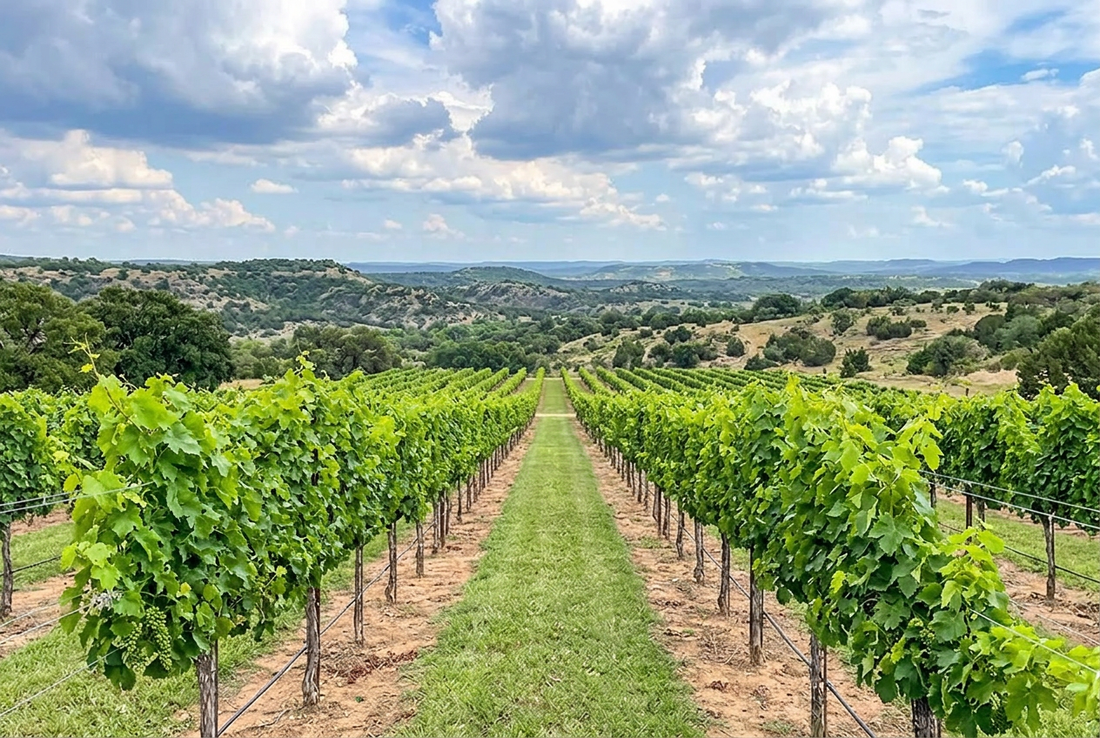 The Hill Country Wine Trail: A Local's Guide to Fredericksburg Wineries - Opa's Smoked Meats